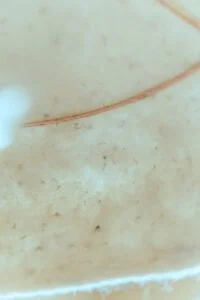 suspension en feutre